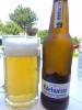 Edelweiss Blanche