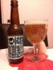 Punk IPA