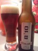 Bourganel B 10