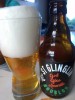 St Glinglin Houblon