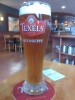 Texels Skuumkoppe