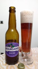 Bourganel aux myrtilles