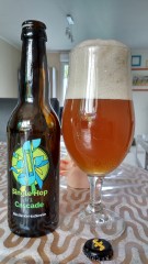 Single Hop Cascade Single Hop Cascade