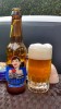 Carmen white ipa