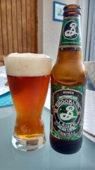 Brooklyn hoppy Amber lager