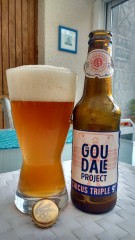 Goudal project circus