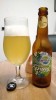 Hoppy spring