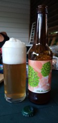 IPA du moment