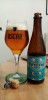 Citrus noyaux 2019