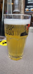 Hop gun