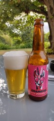 Céleste américan ipa