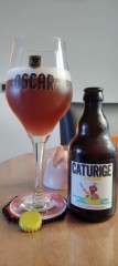Caturige
