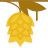 Houblon