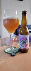 New England ddh dipa