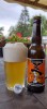 Dioller citra mosaic