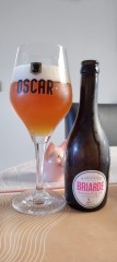 Briarde session pâle ale