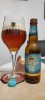 Sant Erwan double ipa