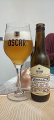 kolsch summer ale
