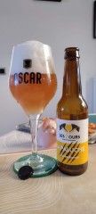 La paluche
