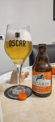Vicaris nano